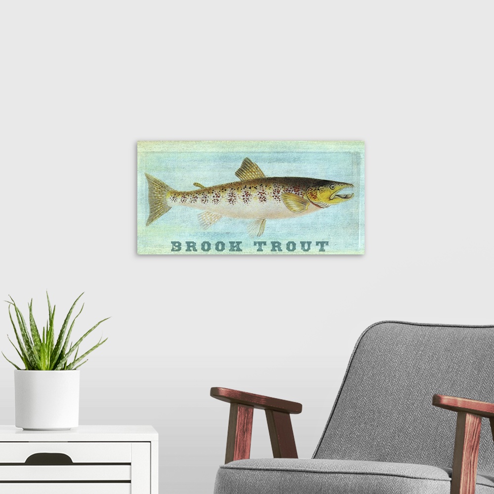 A modern room featuring Brook Trout