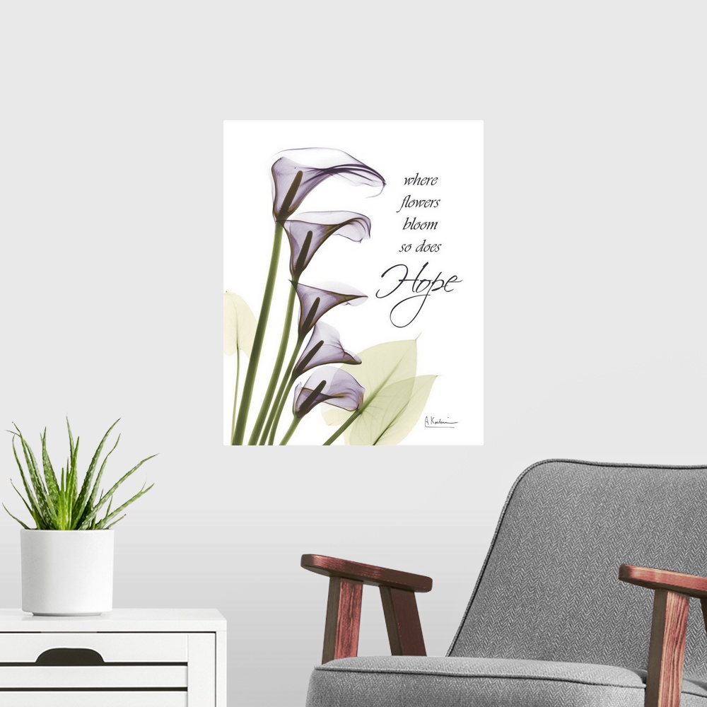 A modern room featuring Calla Lilies Hope x-ray photography