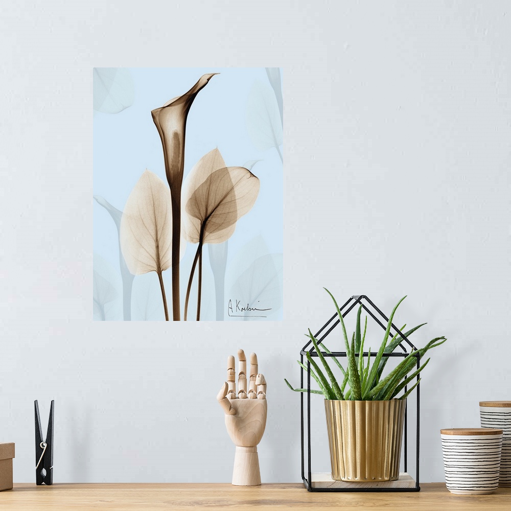 A bohemian room featuring Large, vertical x-ray photograph of a calla lily and several leaves, on a light background with t...