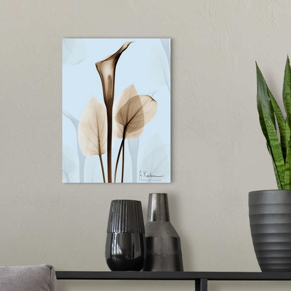 A modern room featuring Large, vertical x-ray photograph of a calla lily and several leaves, on a light background with t...