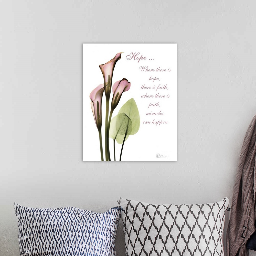 A bohemian room featuring Calla Lily x-ray photography