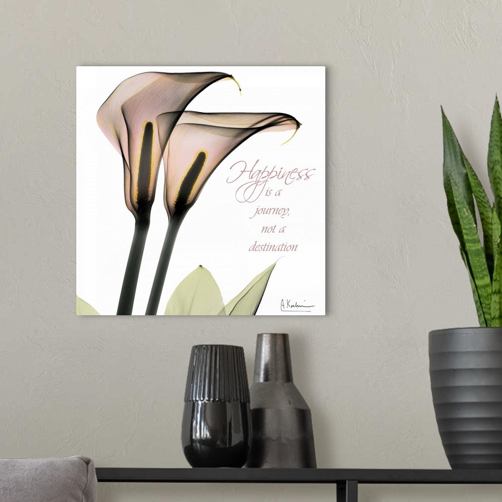 A modern room featuring Callas Happiness x-ray photography