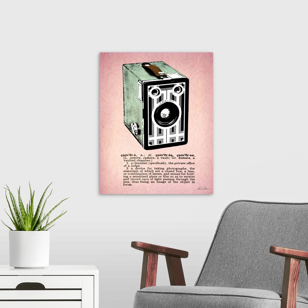 A modern room featuring Retro-style illustration of a box camera with the dictionary definition below the image.