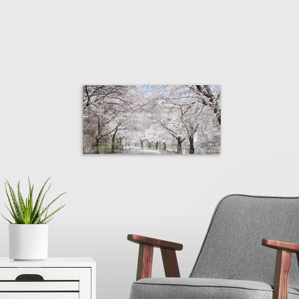 A modern room featuring Cherry Blossom Lane