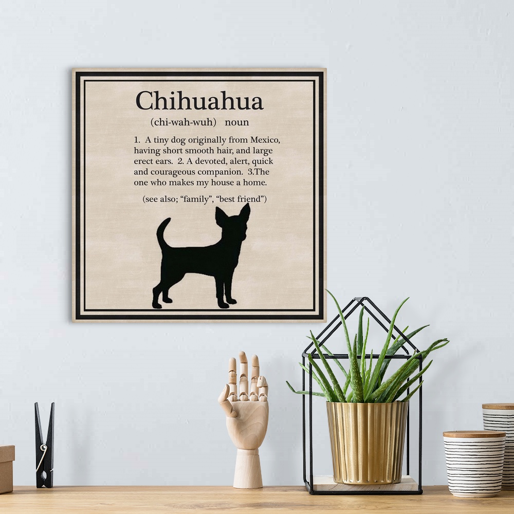 A bohemian room featuring Chihuahua