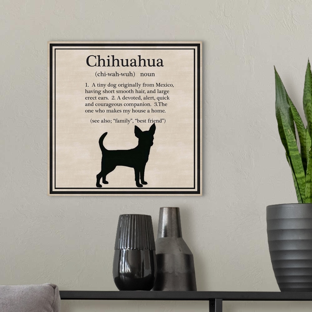 A modern room featuring Chihuahua