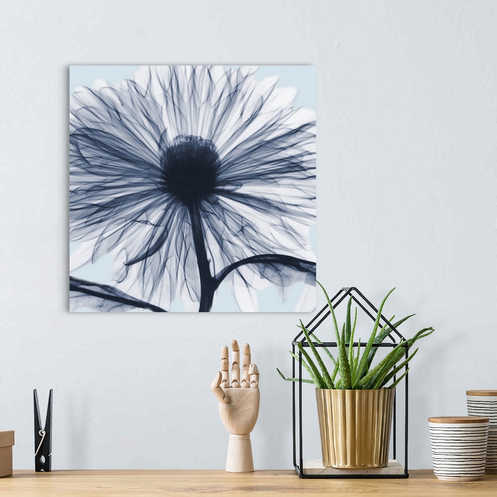 A bohemian room featuring Chrysanthemum Blues