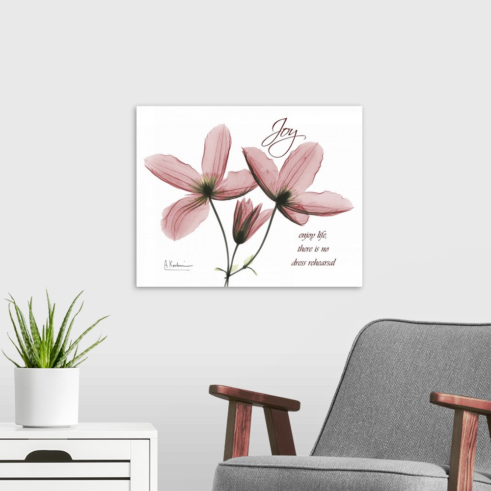 A modern room featuring Clematis Joy x-ray photography