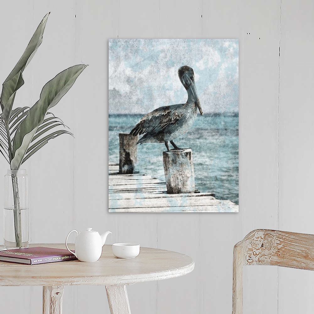 A farmhouse room featuring Black and white photograph of a pelican standing on a dock with light blue tones painted on top.