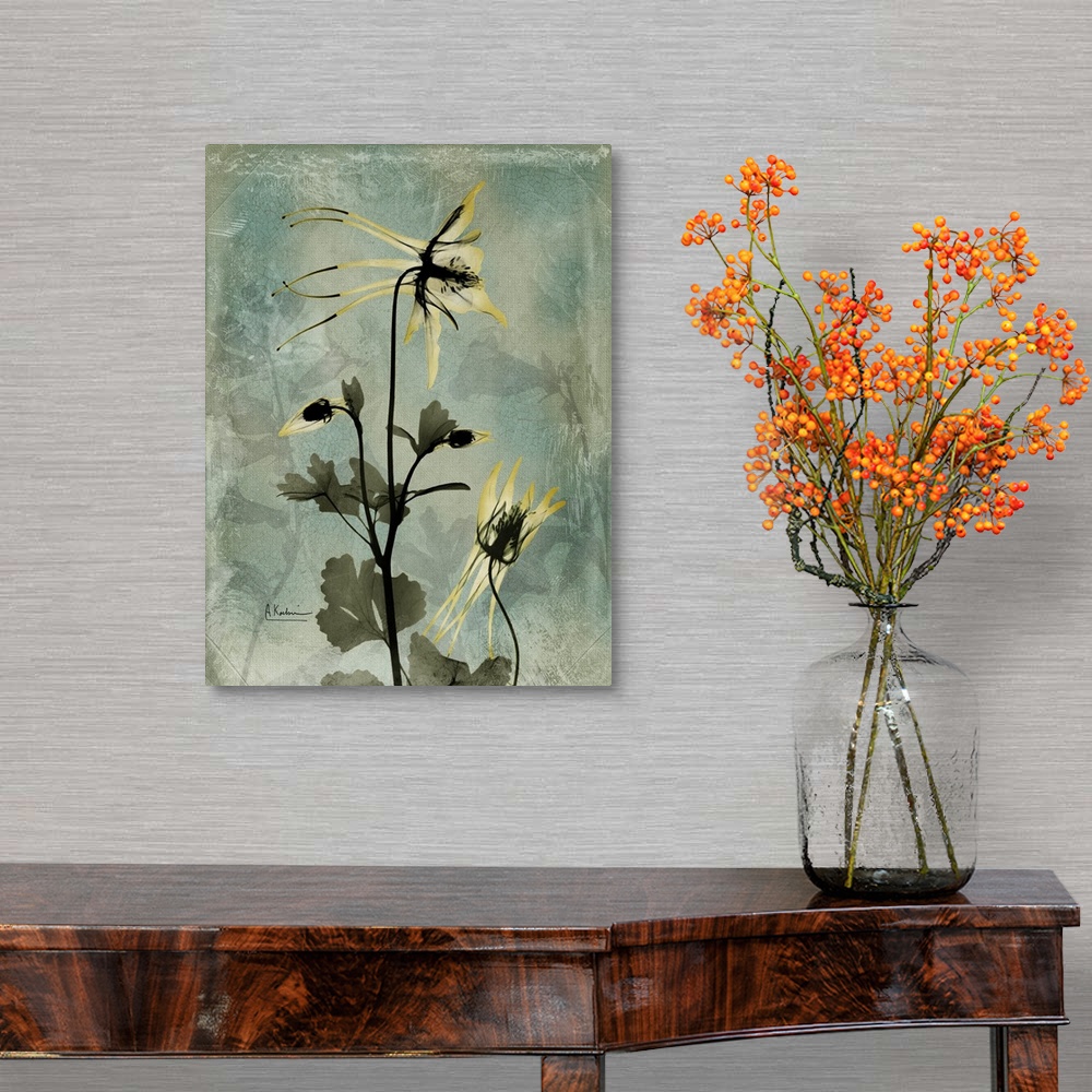 A traditional room featuring Vertical x-ray photograph of columbine flowers. Against a cool tone background.