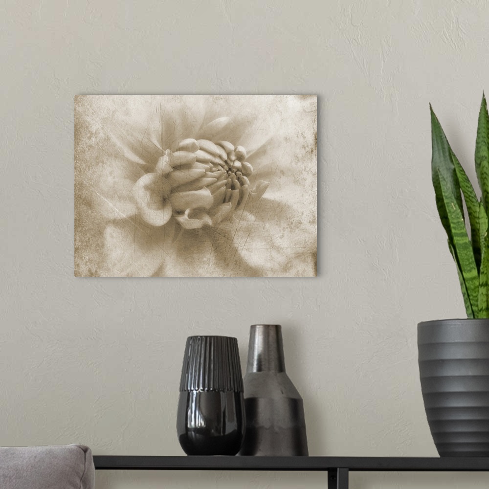 A modern room featuring A macro photograph of a weathered grungy looking dahlia flower.