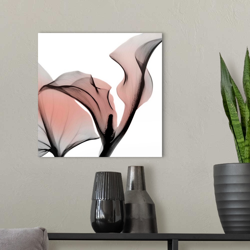 A modern room featuring Dawned Calla Lily