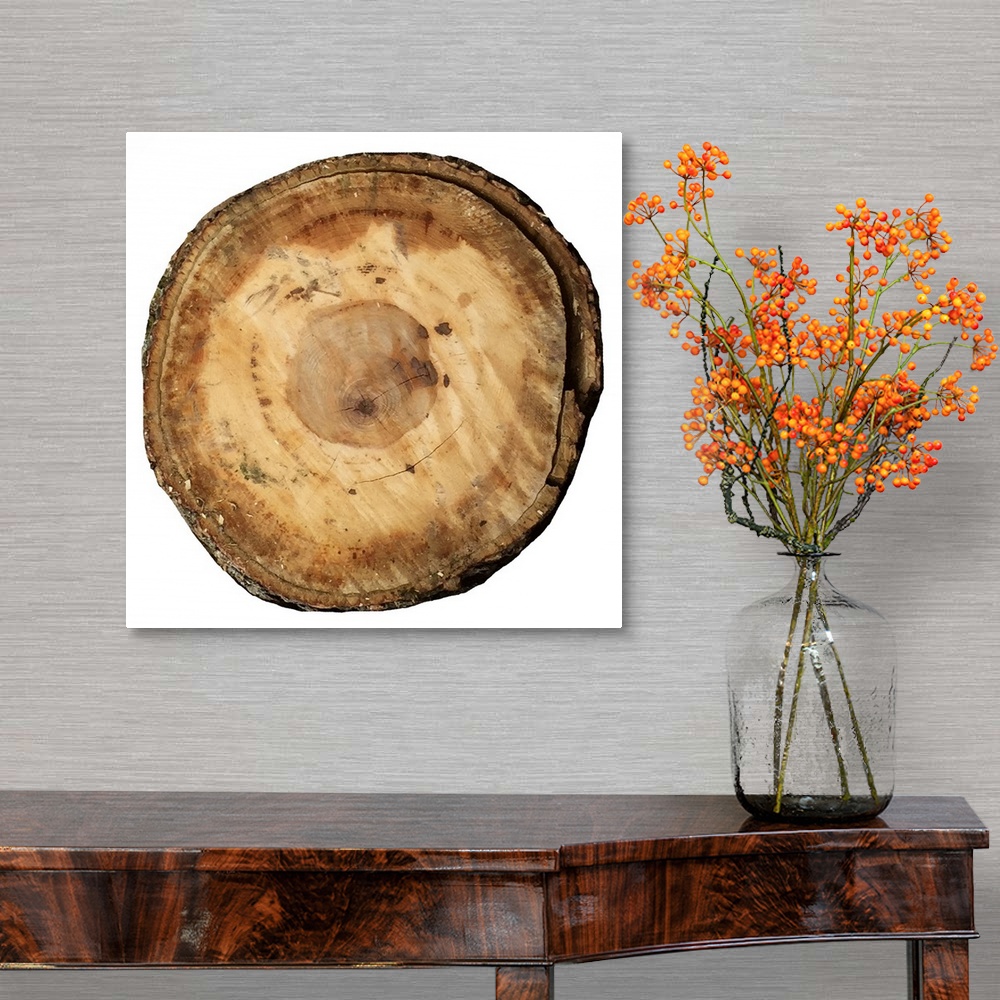A traditional room featuring Contemporary artwork of a cross section of a tree showing concentric rings.