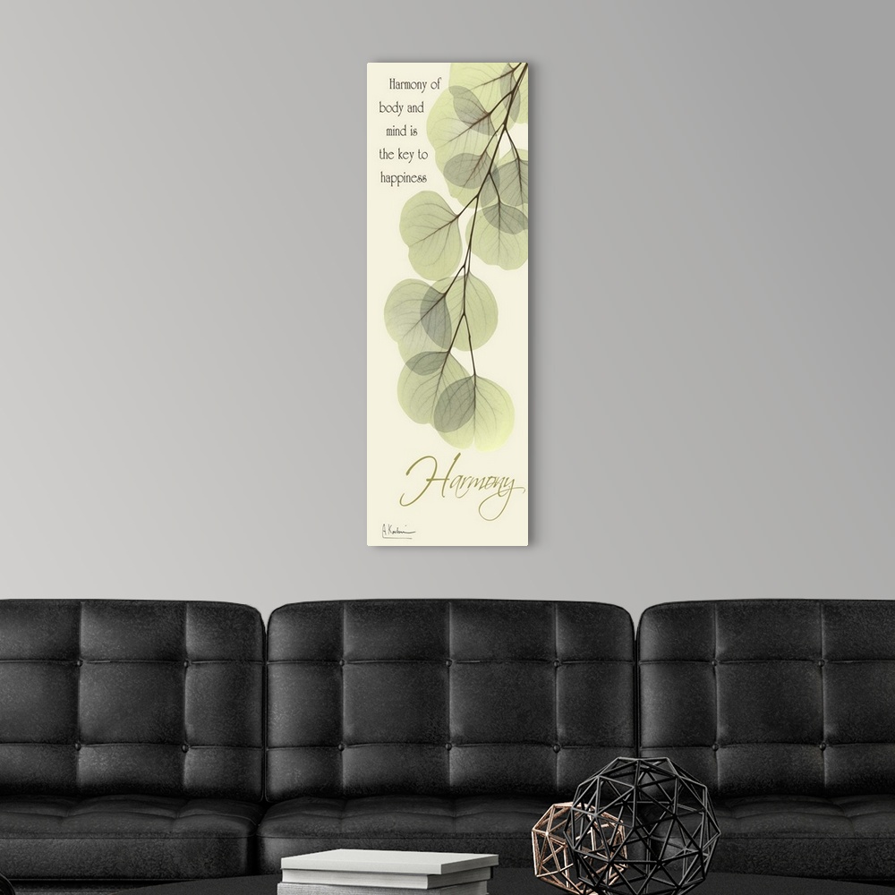 A modern room featuring Vertical x-ray photograph of eucalyptus leaves, against a warm tone background. With the word "Ha...
