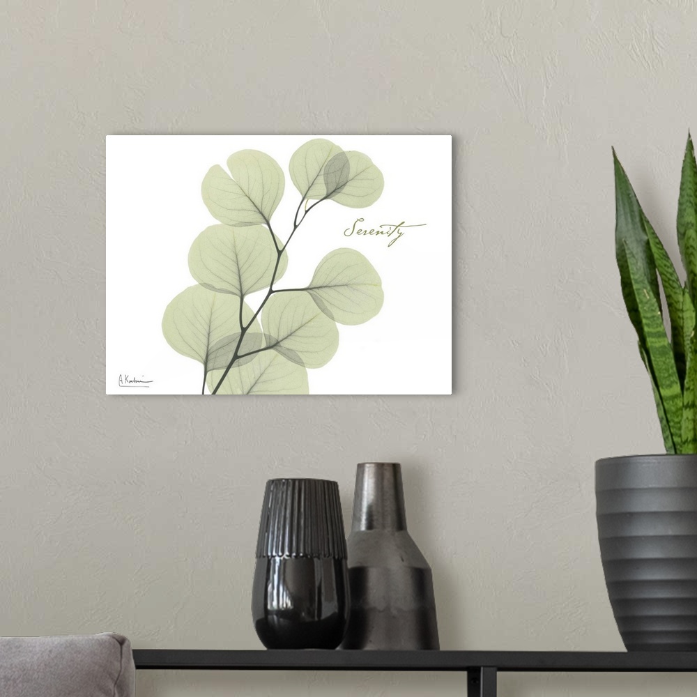 A modern room featuring X-ray photograph of eucalyptus leaves against a white background.