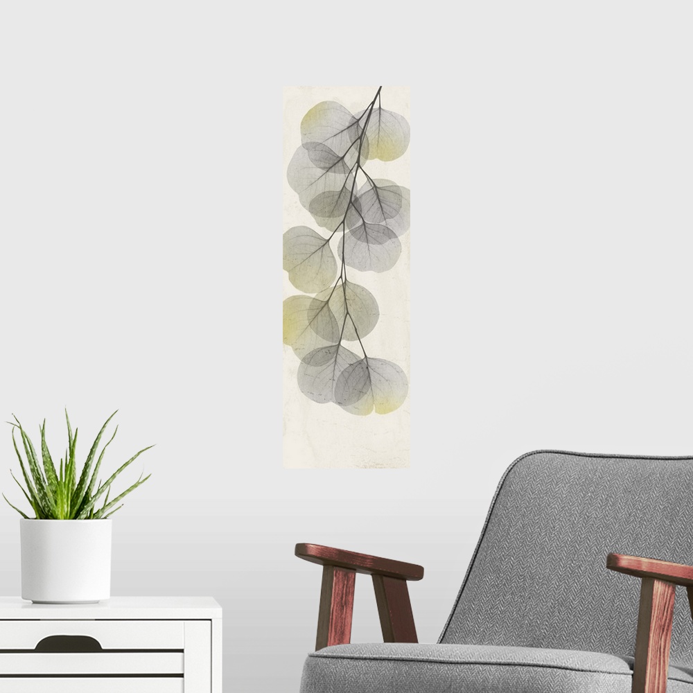A modern room featuring Eucalyptus Sunshine 2