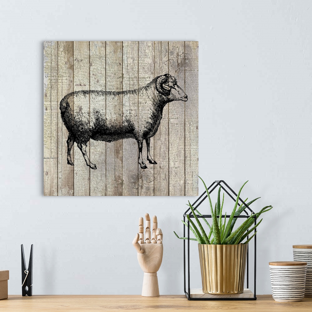 A bohemian room featuring A painting of a sheep on an aged wood panel background with a very faint text overlay.