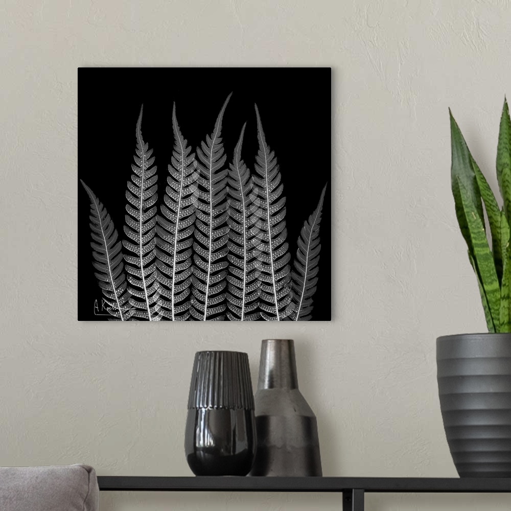 A modern room featuring Internal opaque photograph of plant leaves.