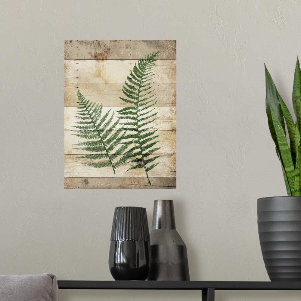 A modern room featuring Deep green fern fronds on a wooden board background.