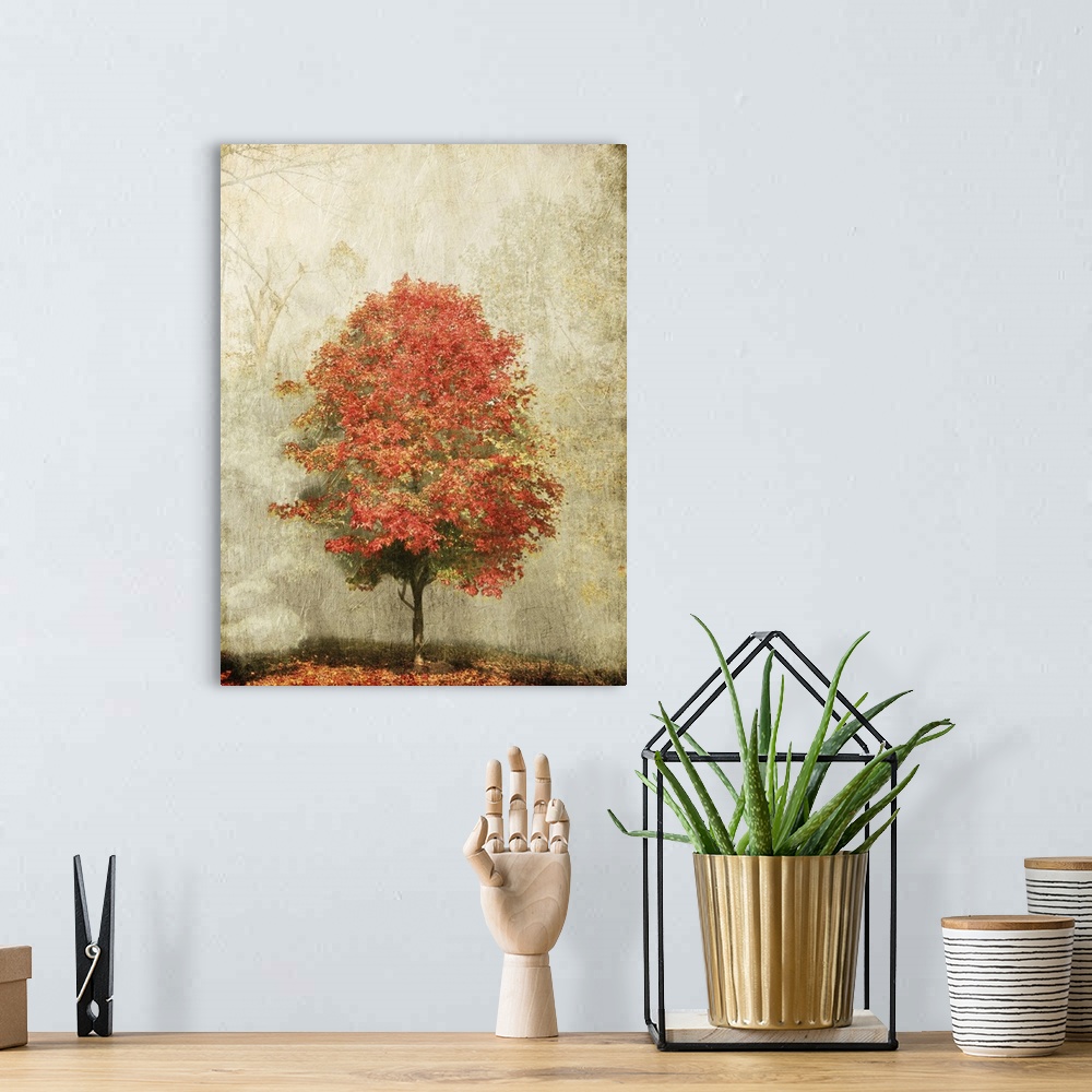 A bohemian room featuring Fire Tree