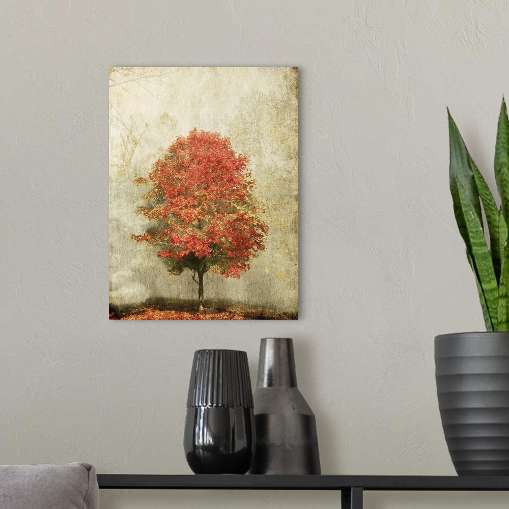 A modern room featuring Fire Tree