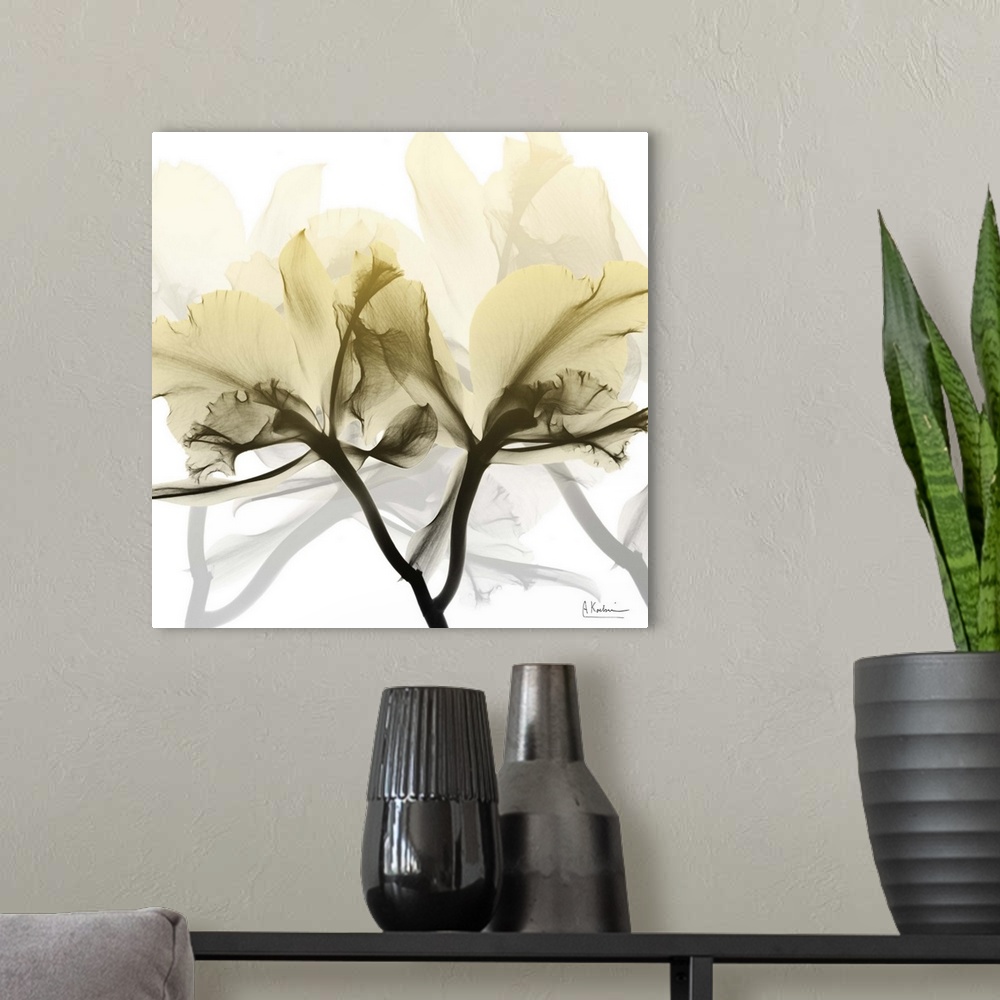 A modern room featuring Flaxen Orchid