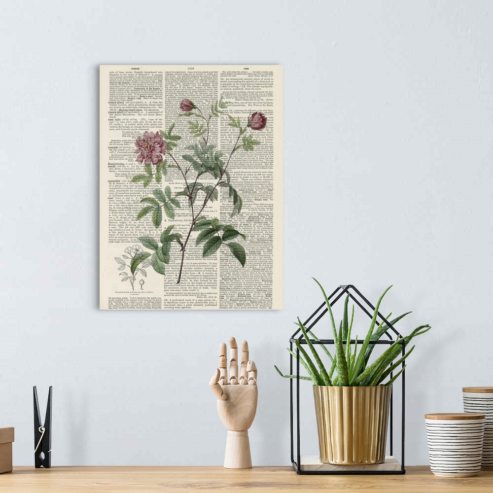A bohemian room featuring Vintage style artwork of dictionary page with a flower in the center of the image.
