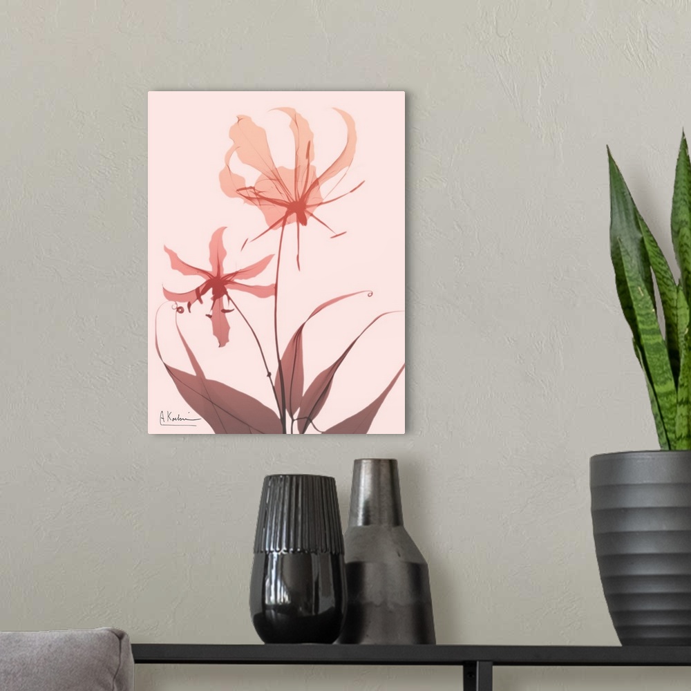 A modern room featuring X-ray style photograph of a lily flower in shades of pink.