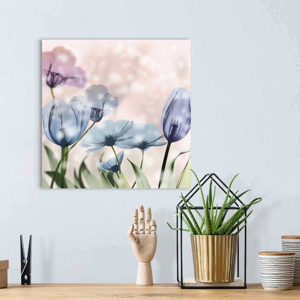 A bohemian room featuring X-ray style photograph of blooming flowers in pink and blue with bokeh lights.