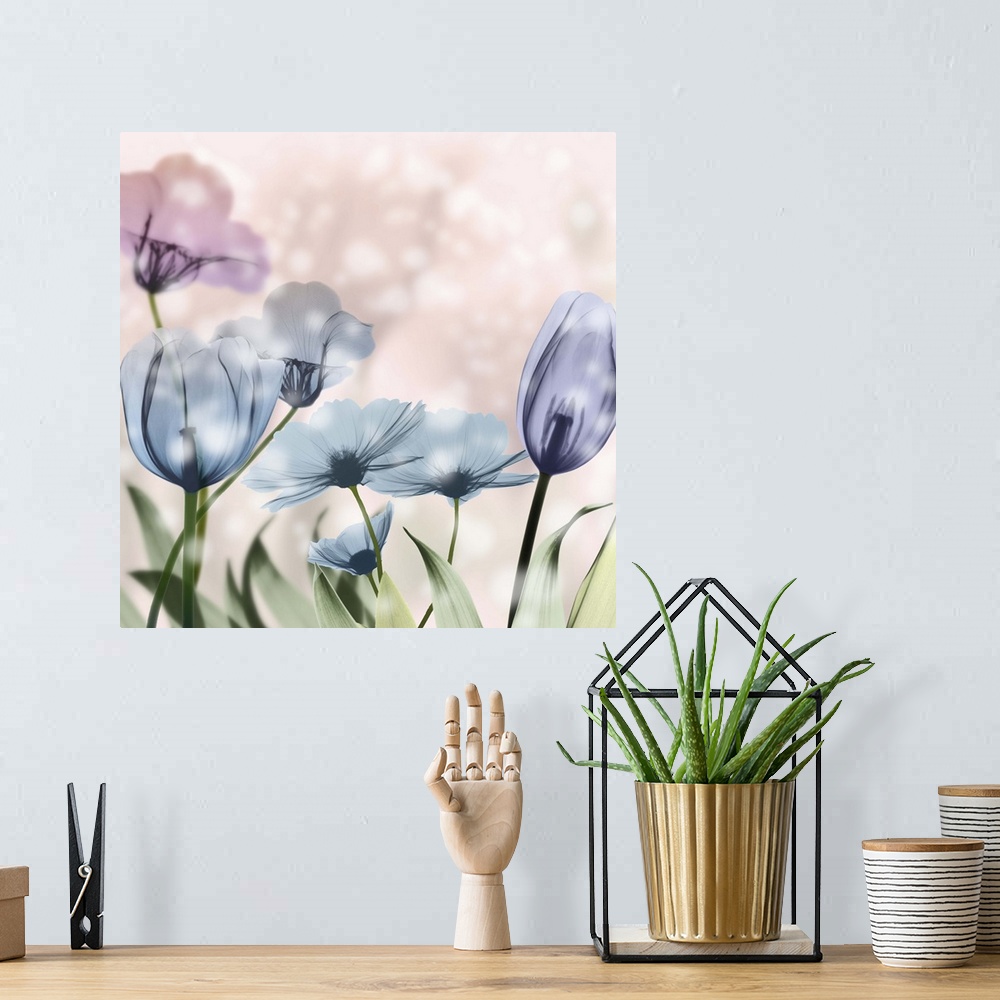 A bohemian room featuring X-ray style photograph of blooming flowers in pink and blue with bokeh lights.