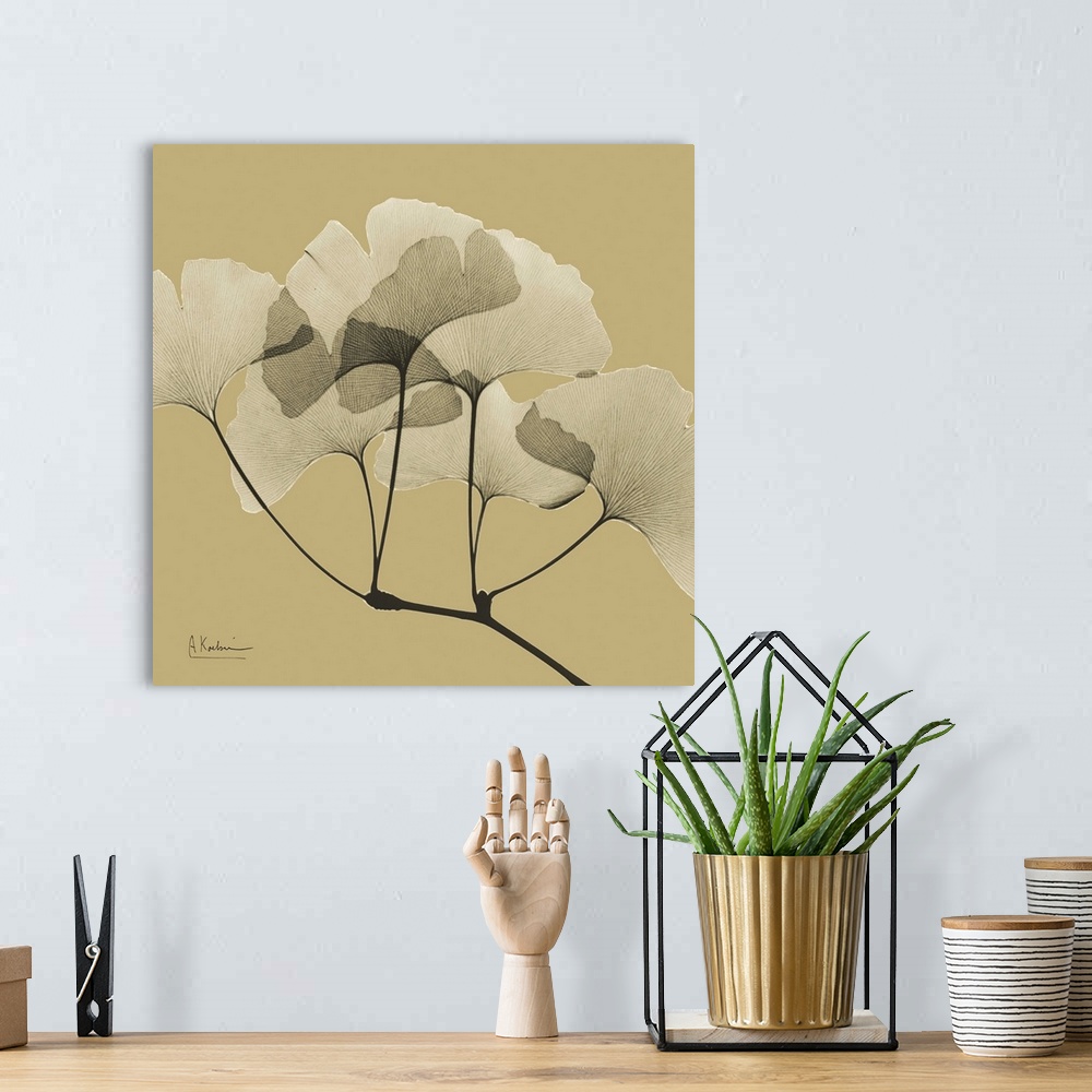 A bohemian room featuring Square x-ray photograph of a group of ginko leaves on the end a tree branch, against an earth ton...