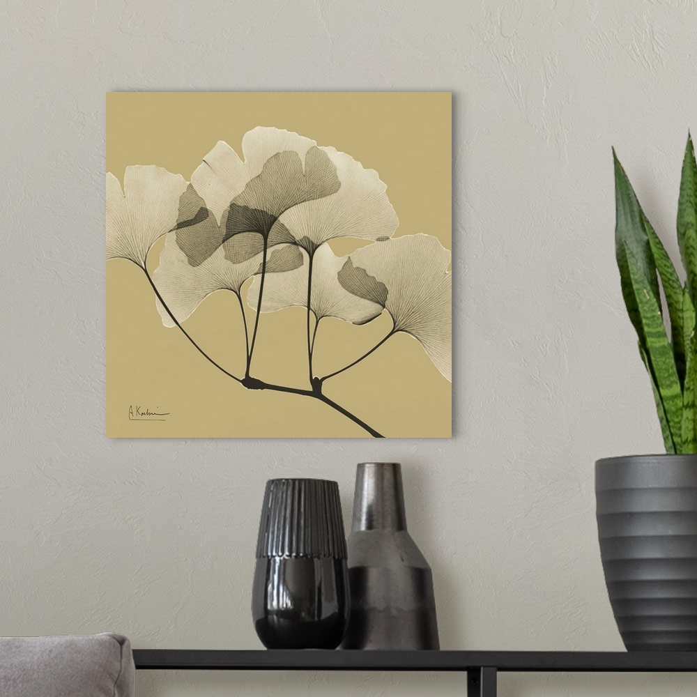 A modern room featuring Square x-ray photograph of a group of ginko leaves on the end a tree branch, against an earth ton...