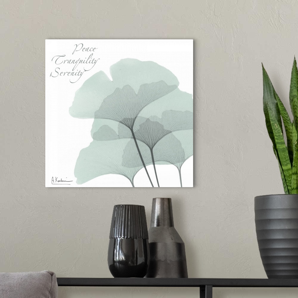 A modern room featuring Gingko Peace x-ray photography
