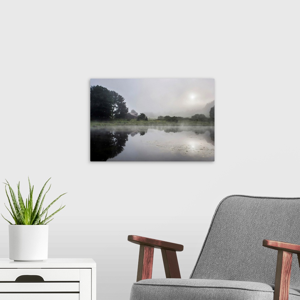 A modern room featuring Fine art photo of a calm lake reflecting the surrounding trees and morning sun.