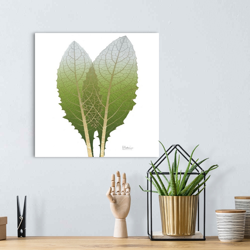 A bohemian room featuring X-ray style photograph of two artichoke leaves with golden veins.