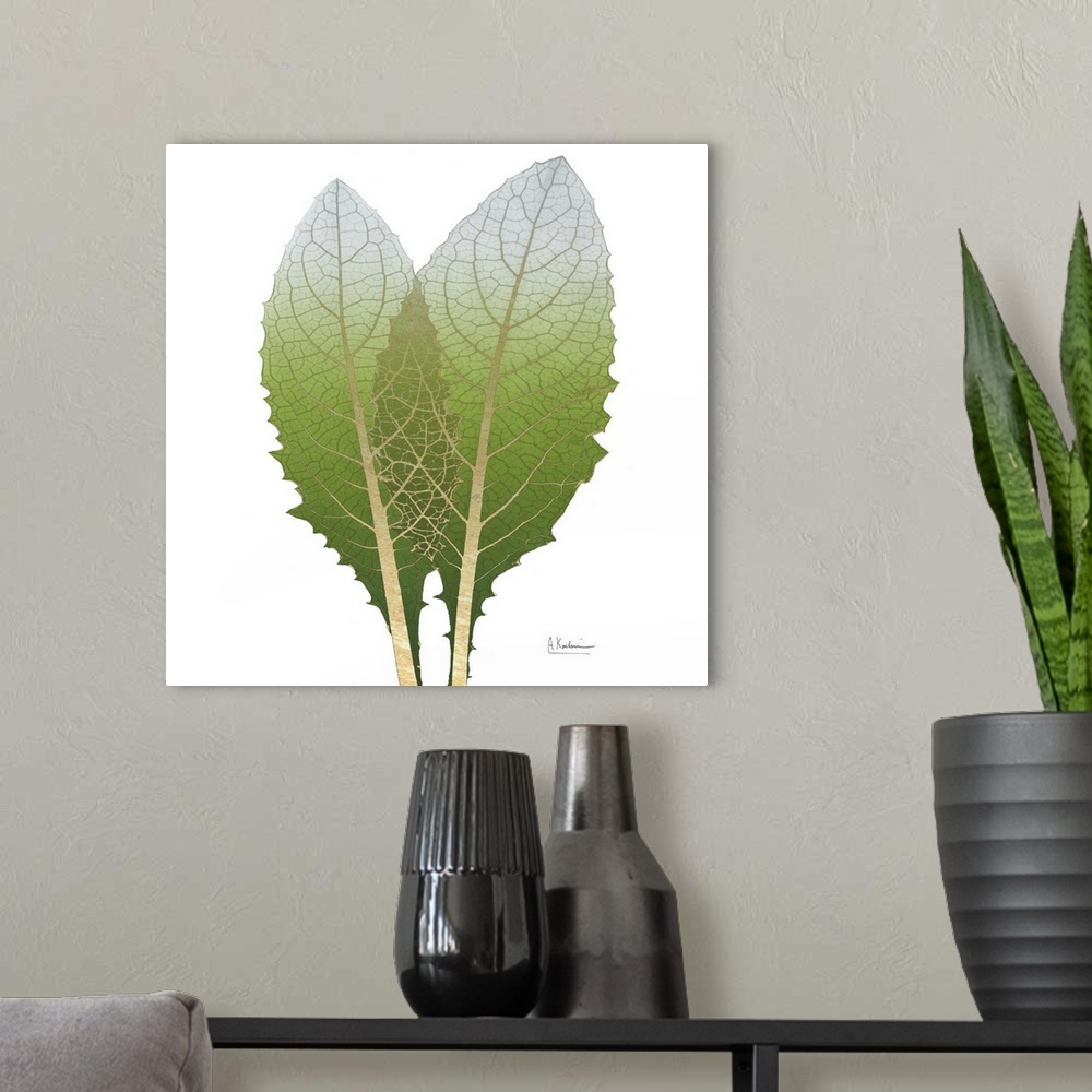 A modern room featuring X-ray style photograph of two artichoke leaves with golden veins.
