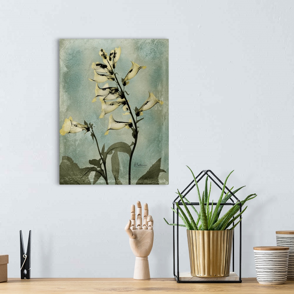 A bohemian room featuring Vertical x-ray photograph of golden foxglove flowers. Against a cool tone background.