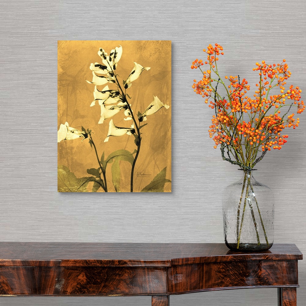A traditional room featuring Golden Foxglove II x-ray photography