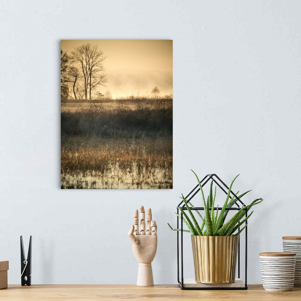 A bohemian room featuring A photograph of an idyllic weathered landscape in autumn, with bare trees in the background