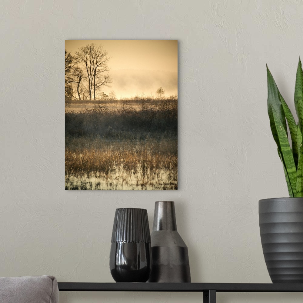 A modern room featuring A photograph of an idyllic weathered landscape in autumn, with bare trees in the background