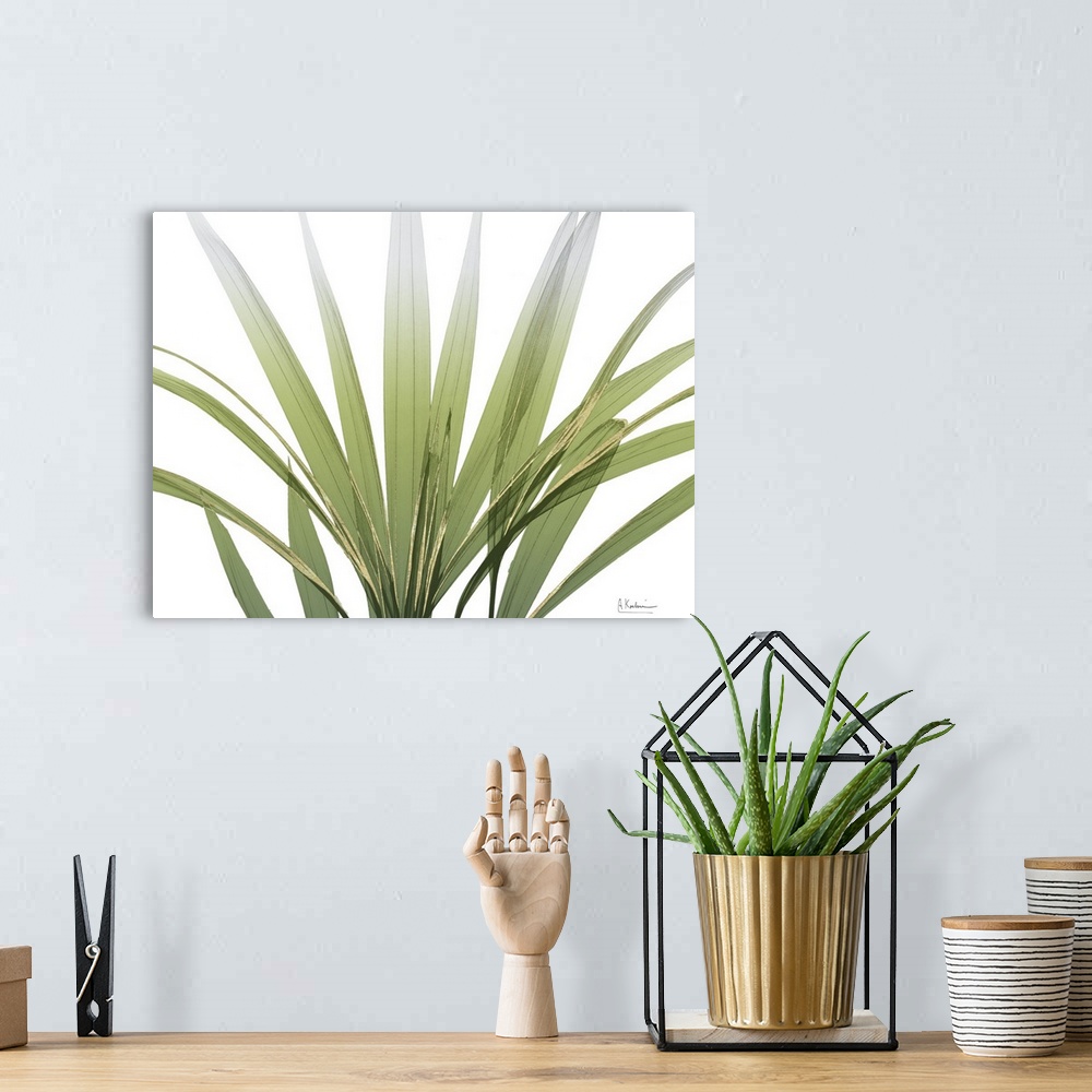 A bohemian room featuring X-ray style photo of several long green palm fronds with gold edges.