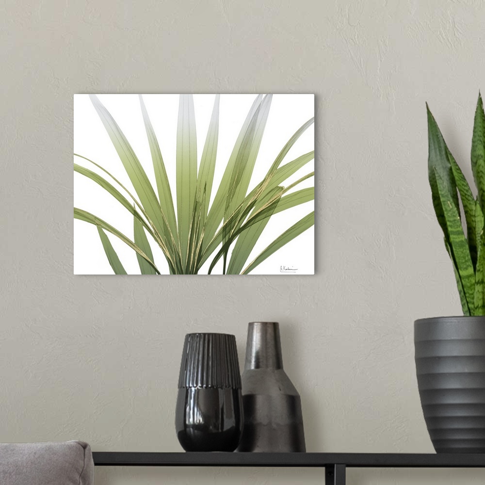 A modern room featuring X-ray style photo of several long green palm fronds with gold edges.