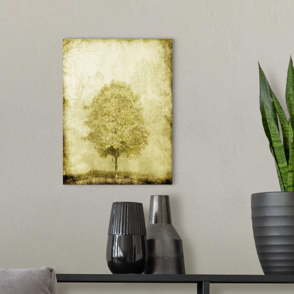 A modern room featuring Golden Tree