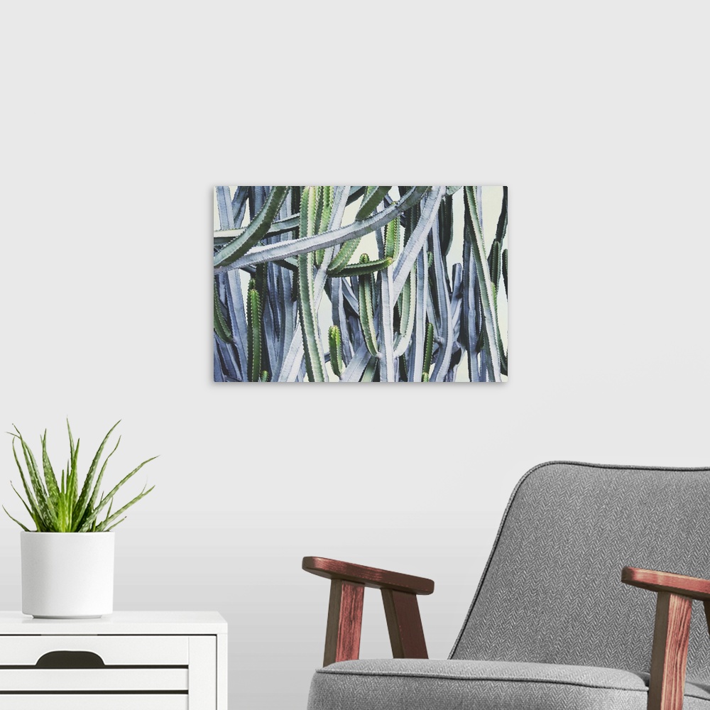 A modern room featuring Abstract image of several cactus plants with long branches intertwining.