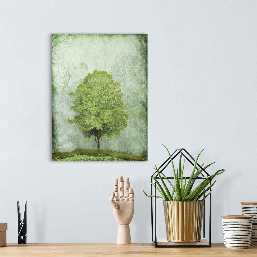 A bohemian room featuring Green Tree