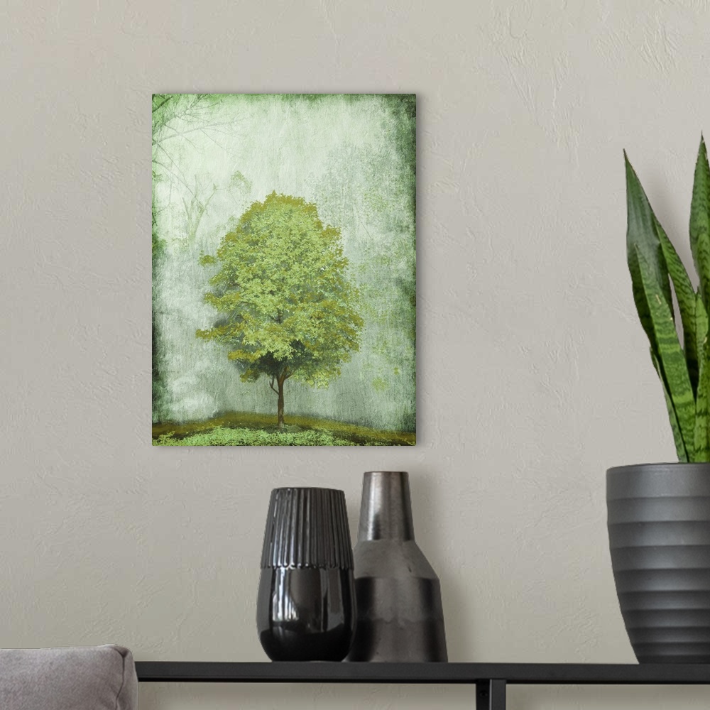 A modern room featuring Green Tree