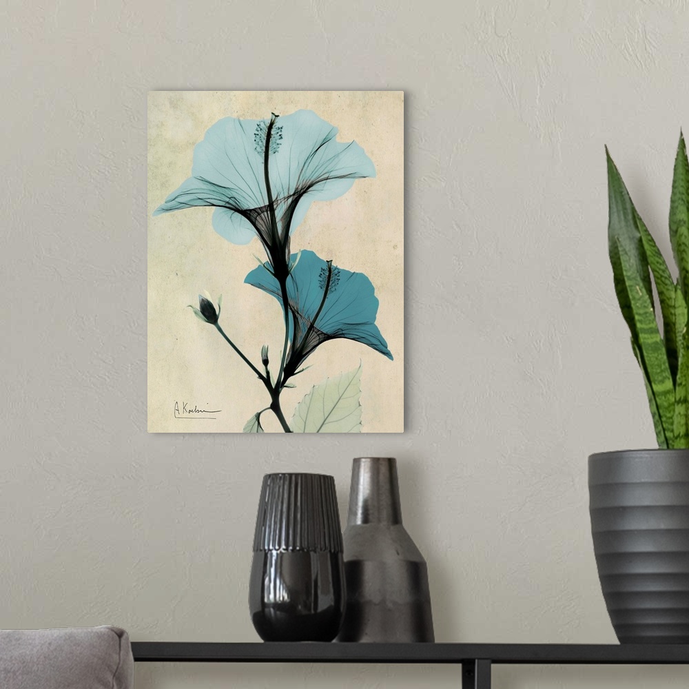 A modern room featuring Vertical x-ray photograph of two hibiscus flowers against a faded earth toned background.