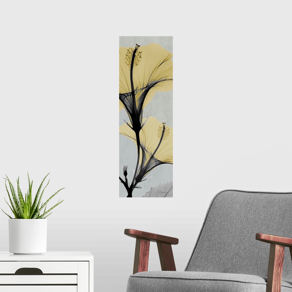 A modern room featuring Vertical x-ray photograph of two hibiscus flowers on a cool toned background.