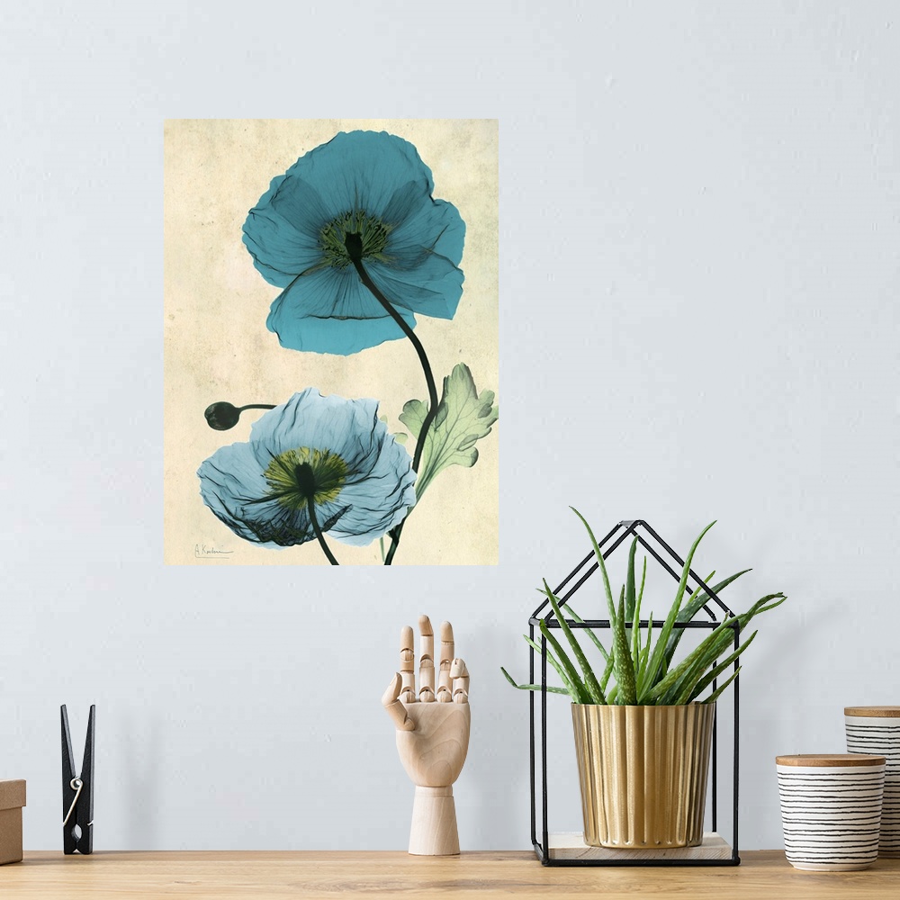 A bohemian room featuring Vertical x-ray photograph of two Icelandic poppies against a faded earth toned background.
