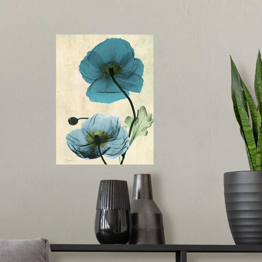 A modern room featuring Vertical x-ray photograph of two Icelandic poppies against a faded earth toned background.